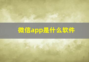 微信app是什么软件