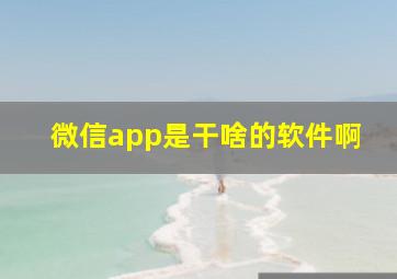 微信app是干啥的软件啊