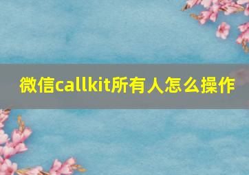 微信callkit所有人怎么操作