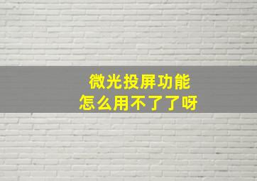 微光投屏功能怎么用不了了呀