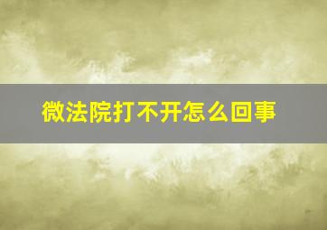 微法院打不开怎么回事