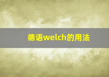 德语welch的用法