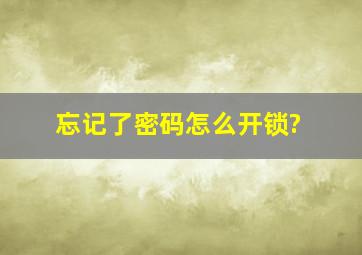 忘记了密码怎么开锁?