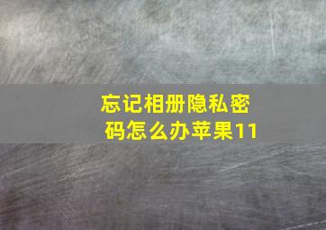 忘记相册隐私密码怎么办苹果11