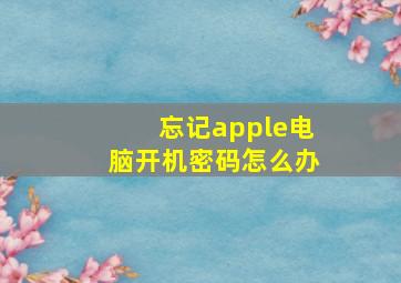 忘记apple电脑开机密码怎么办