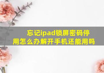 忘记ipad锁屏密码停用怎么办解开手机还能用吗