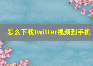 怎么下载twitter视频到手机