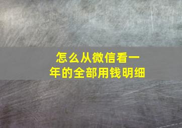 怎么从微信看一年的全部用钱明细