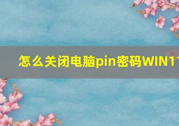 怎么关闭电脑pin密码WIN11