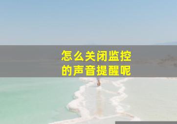 怎么关闭监控的声音提醒呢