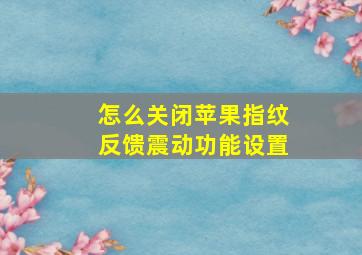 怎么关闭苹果指纹反馈震动功能设置