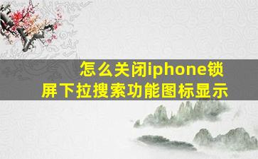 怎么关闭iphone锁屏下拉搜索功能图标显示