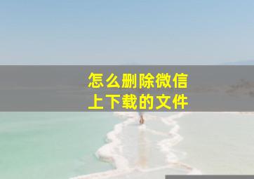 怎么删除微信上下载的文件