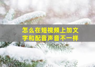 怎么在短视频上加文字和配音声音不一样