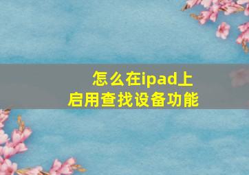 怎么在ipad上启用查找设备功能