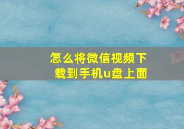 怎么将微信视频下载到手机u盘上面