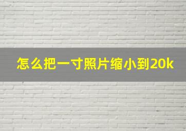 怎么把一寸照片缩小到20k