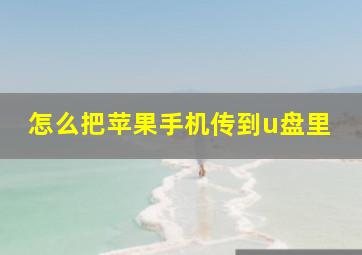 怎么把苹果手机传到u盘里