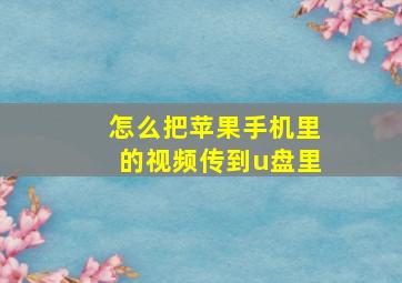 怎么把苹果手机里的视频传到u盘里