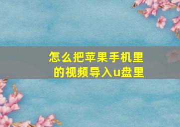 怎么把苹果手机里的视频导入u盘里