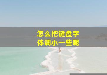 怎么把键盘字体调小一些呢