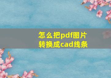 怎么把pdf图片转换成cad线条