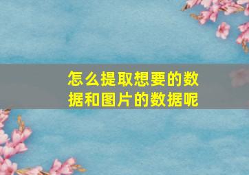 怎么提取想要的数据和图片的数据呢