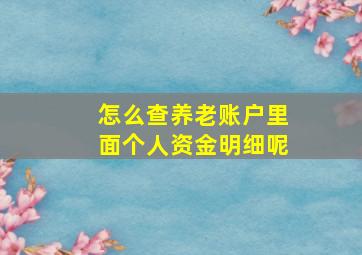 怎么查养老账户里面个人资金明细呢