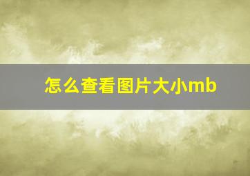 怎么查看图片大小mb