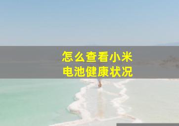 怎么查看小米电池健康状况