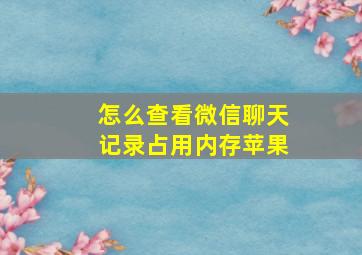 怎么查看微信聊天记录占用内存苹果