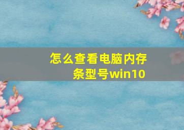 怎么查看电脑内存条型号win10