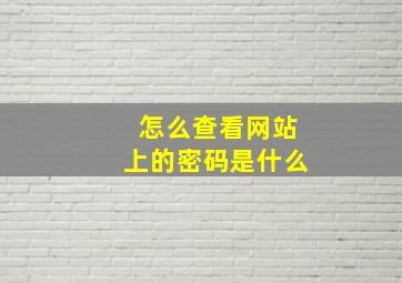 怎么查看网站上的密码是什么