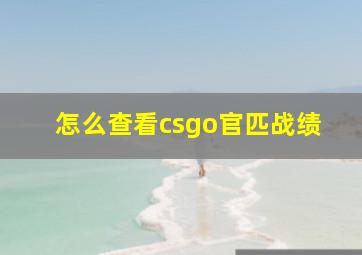 怎么查看csgo官匹战绩