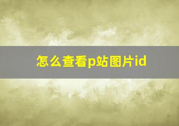 怎么查看p站图片id