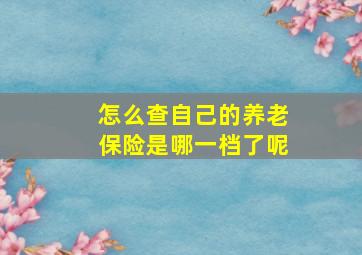 怎么查自己的养老保险是哪一档了呢