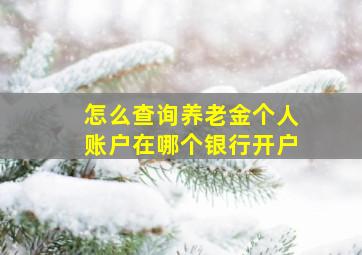 怎么查询养老金个人账户在哪个银行开户