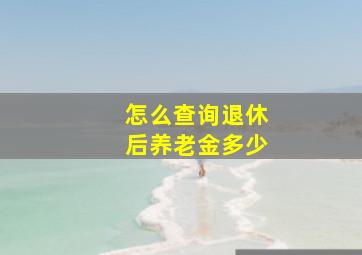 怎么查询退休后养老金多少