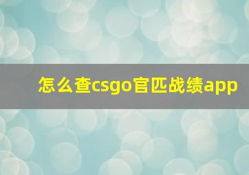 怎么查csgo官匹战绩app