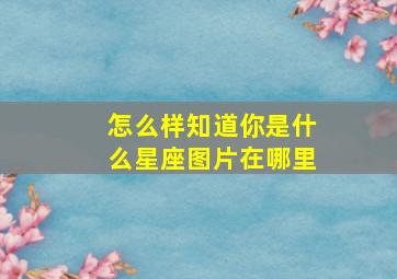 怎么样知道你是什么星座图片在哪里