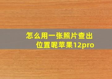 怎么用一张照片查出位置呢苹果12pro