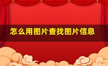 怎么用图片查找图片信息