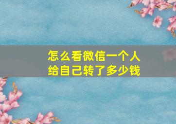 怎么看微信一个人给自己转了多少钱