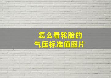 怎么看轮胎的气压标准值图片