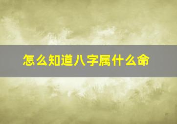 怎么知道八字属什么命