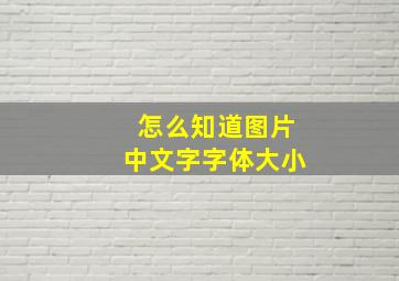 怎么知道图片中文字字体大小