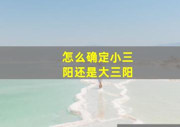 怎么确定小三阳还是大三阳