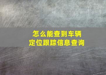 怎么能查到车辆定位跟踪信息查询