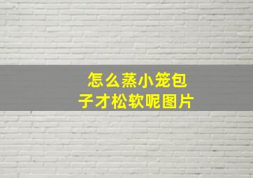 怎么蒸小笼包子才松软呢图片