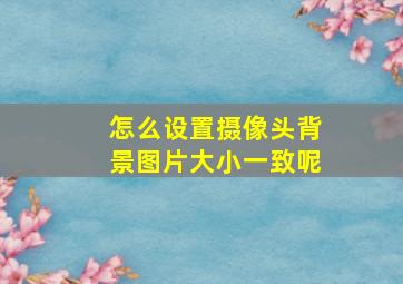 怎么设置摄像头背景图片大小一致呢